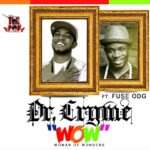 Dr Cryme Wow Ft Fuse ODG mp3 download