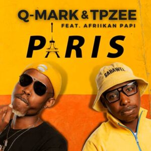 Q-Mark & TpZee Paris ft Afriikan Papi mp3 download