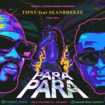 Tipsy Para Para ft. Seanbreeze mp3 download
