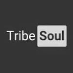 TribeSoul C Section (Tech Feel) mp3 download