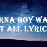 Burna Boy ft. Polo G – Want It All (Lyrics)