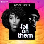Aramide Fall On Them ft. Timaya