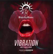Bakilla Vibration mp3 download