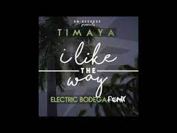 Timaya I Like The Way Remix ft. Electric Bodega