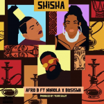 Afro B Ft. Niniola Busiswa Shisha mp3 download