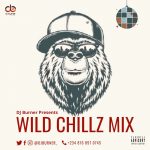 DJ Burner Wild Chillz Mix mp3 download