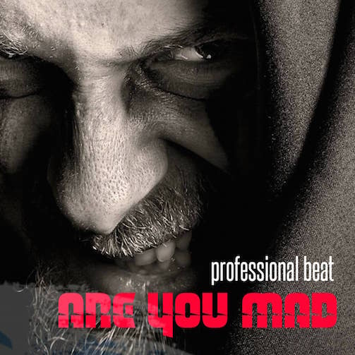 Professional Are You Mad mp3 download