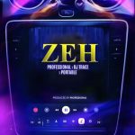 Professional Zeh Ft. DJ Trace Portable mp3 download