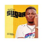 Shadykarz Sugar mp3 download