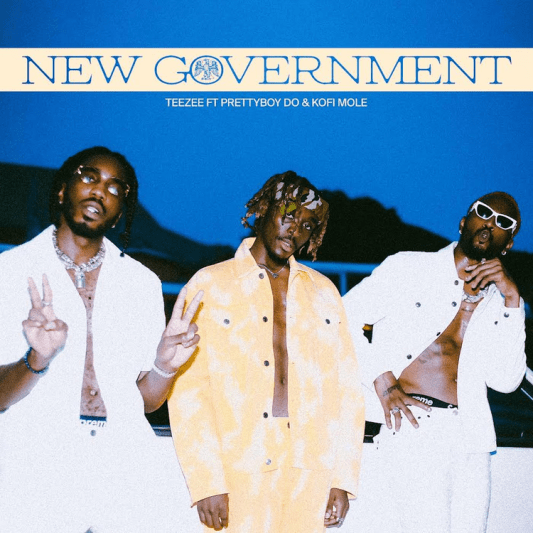 Teezee New Government ft. PrettyBoy D O Kofi Mole mp3 download