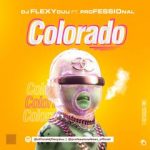 DJ Flexy Duu ft. Professional Beat Colorado Instrumental mp3 download