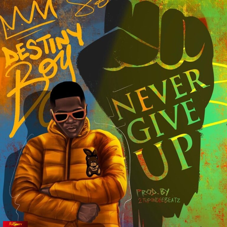 Destiny Boy Never Give Up mp3 download