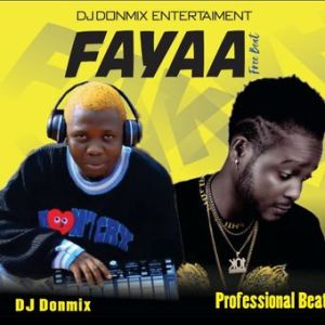 Dj Donmix Ft. Professional Beat Faaya mp3 download