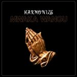 Harmonize Mwaka Wangu mp3 download