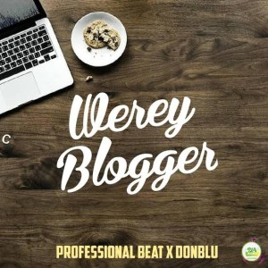Professional Beat x Don Blu Werey Blogger Instrumental mp3 download