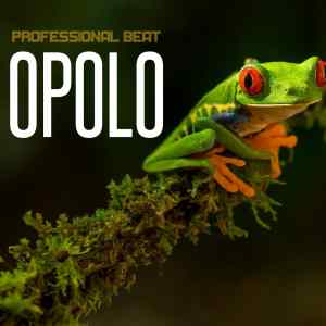 Professional Beat Opolo Freebeat mp3 download