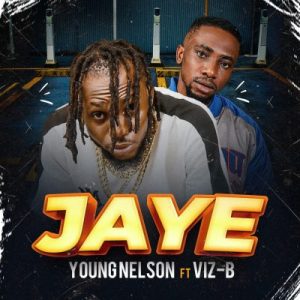 Young Nelson Ft Viz B Jaye m3 download