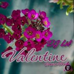 DJ Lil Valentine Cruise Beat mp3 download