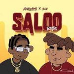 Kashcoming Saloo Remix ft Buju mp3 download