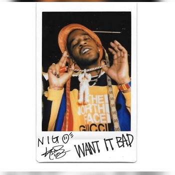 NIGO Ft. Kid Cudi Want It Bad Mp3 Download