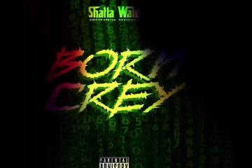 Shatta Wale Born Crey mp3 download