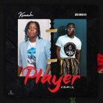 Kenah Player Remix ft. Zoro mp3 download