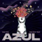 Yaw Tog Who Order Azul ft Bad Boy Timz Mp3 Download