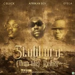 Afrikan Boy Stubborn Omo Lile Remix ft. C Blvck Otega Mp3 Download