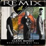 Clean Bandit Everything But You Remix Ft Darkoo Mp3 Download