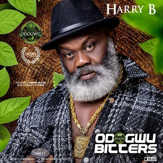 Harry B Odogwu Bitters Mp3 Download