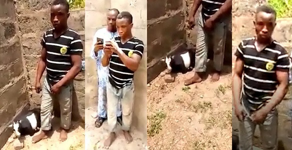 Suspected Ritualist Caught S*€ing With A Pregnant Goat