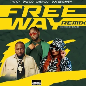 Tripsy Lady Du Davido Nektunez Freeway Remix ft. DJ Pee Raven Mp3 Download