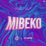 SLM Libende Boyz Mibeko ft. 1da Banton mp3 download