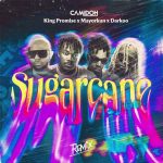 Camidoh Ft. King Promise Mayorkun Darkoo Sugarcane Remix Video mp4 download