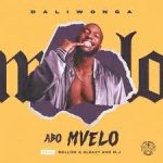 Daliwonga Abo Mvelo ft. Mellow Sleazy MJ Mp3 Download