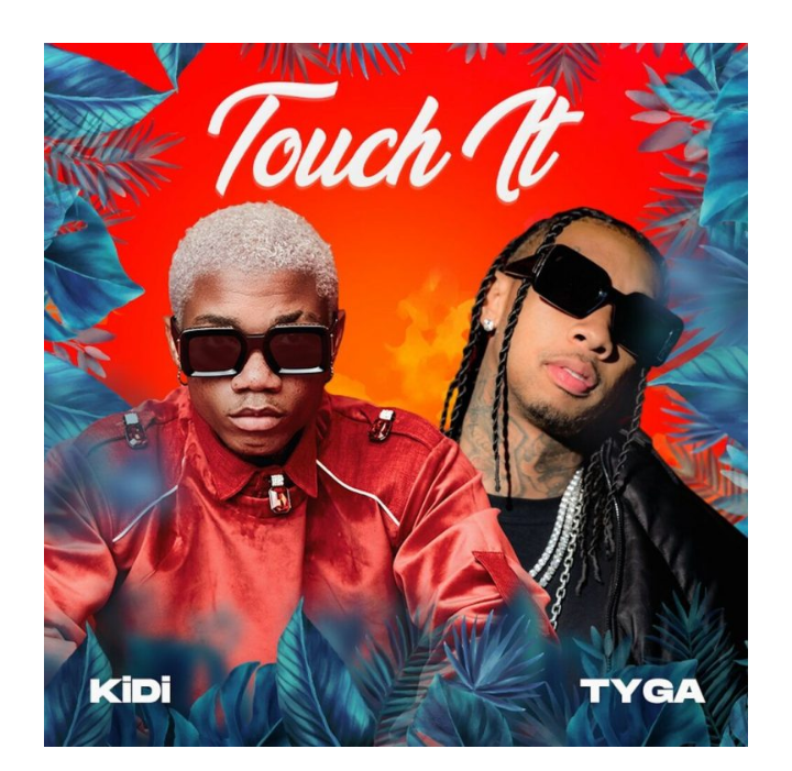 KiDi Ft. Tyga Touch It Remix Mp3 Download