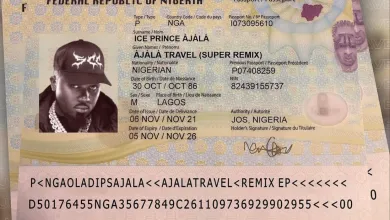 Download Oladips Ajala Travel (Abuja Remix) ft. Odumodublvck & Magnito Mp3 download