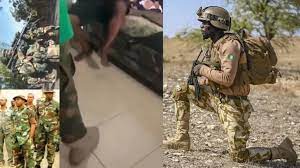 Reactions after a Nigerian soldier catches his wife in bed with another man Video