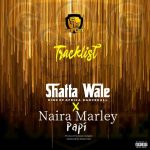 Shatta Wale Papi ft. Naira Marley Mp3 Download