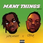 SuperWozzy Many Things Remix ft. Otega mp3 download