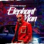 Cobhams Asuquo Elephant Man mp3 download