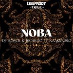 DJ Tomer Ricardo Noba Ft. NaakMusiQ mp3 download