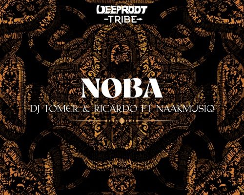 DJ Tomer Ricardo Noba Ft. NaakMusiQ mp3 download