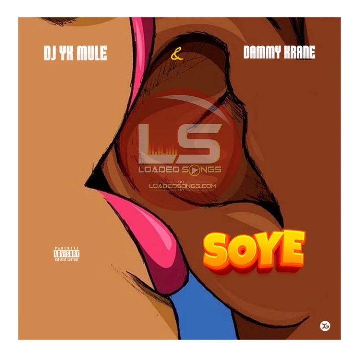 DJ YK ft. Dammy Krane Soye mp3 download