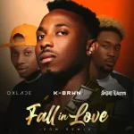 K-Brwn Fall In Love [EDM Remix] Ft Sigag Lauren & Oxlade mp3 download
