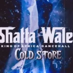 Shatta Wale Cold Store mp3 download