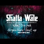 Shatta Wale Wha da …#&@*** mp3 download