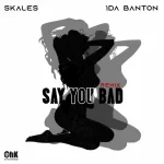 Skales ft 1da Banton Say You Bad Remix mp3 download