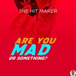 The Hit Maker Are You Mad Or Something mp3 download