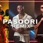 Ali Sethi Pasoori Remix Ft. Marwan Moussa Reekado Banks mp3 download
